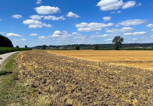 0708 Hopfen am See-Mittelneufach